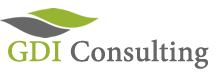 gdi-consulting-logo-website-220
